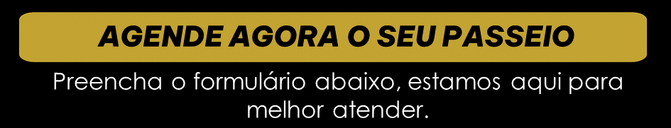 Transfer Rio de Janeiro - Transfer Águia RJ  (15).png