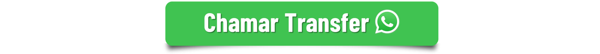 Transfer Rio de Janeiro - Transfer Águia RJ  -----.png